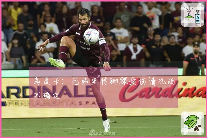 乌度卡：范弗里特脚踝受伤情况尚不确定