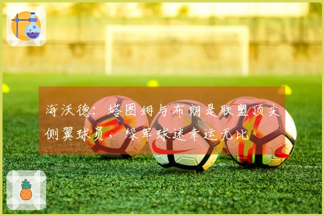 海沃德：塔图姆与布朗是联盟顶尖侧翼球员，绿军球迷幸运无比