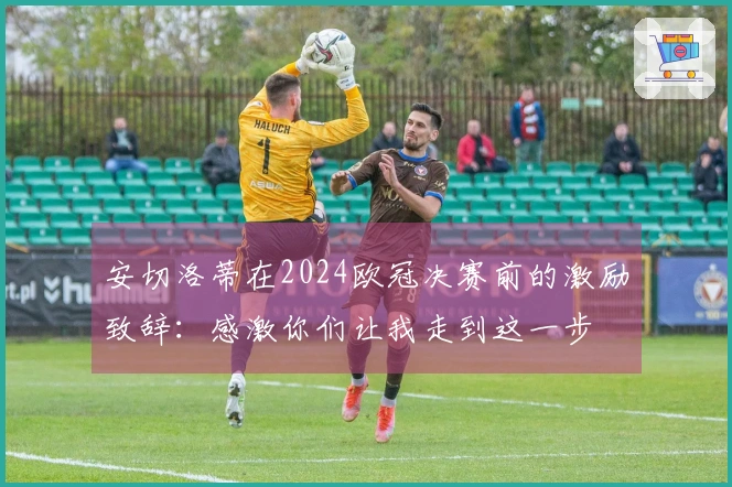 安切洛蒂在2024欧冠决赛前的激励致辞：感激你们让我走到这一步