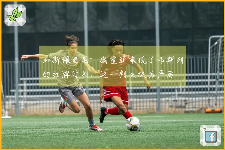 加斯佩里尼：我重新审视了韦斯利的红牌时刻，这一判决极为严厉