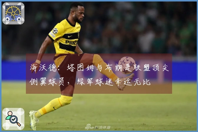 海沃德：塔图姆与布朗是联盟顶尖侧翼球员，绿军球迷幸运无比