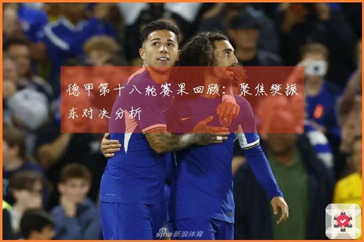 德甲第十八轮赛果回顾：聚焦樊振东对决分析