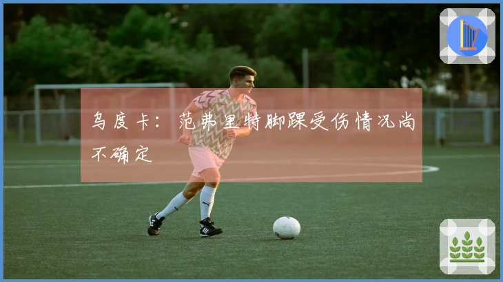 乌度卡：范弗里特脚踝受伤情况尚不确定